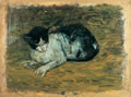 Gatto, studio dal vero degli anni trenta, olio su cartone, Caserta, collezione privata